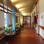 A Tartaruga e a Lebre